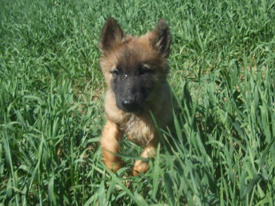 kali26.5.2009 029.jpg